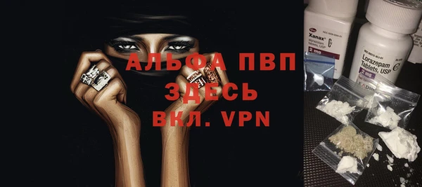 сатива Волосово