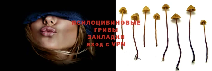 сатива Волосово