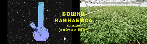 сатива Волосово