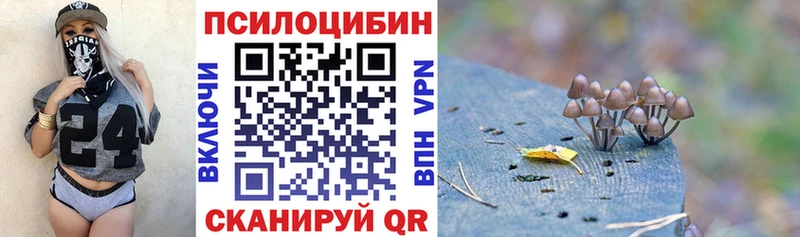 Галлюциногенные грибы GOLDEN TEACHER  Норильск 